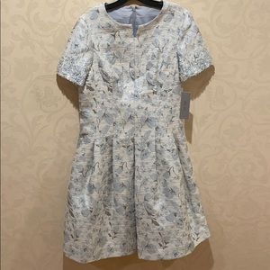 Ice Blue Teri Jon Rickie Freeman Dress